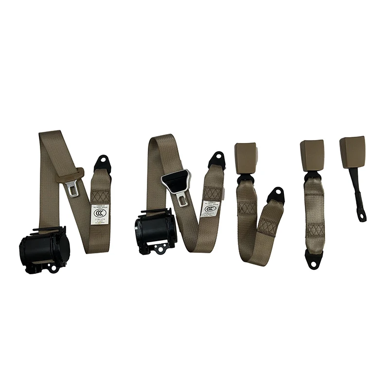 Three-Point Seat Belt